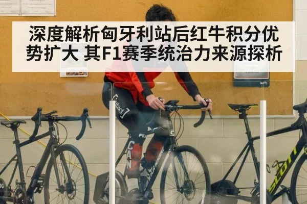 深度解析匈牙利站后红牛积分优势扩大 其F1赛季统治力来源探析